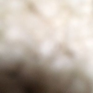 Meet your Posher, Brooklyn